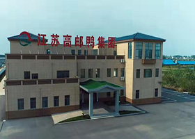 高郵鴨集團:辦公樓